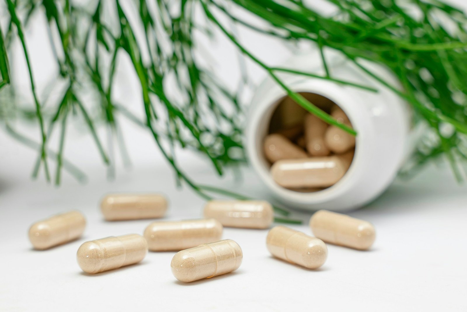 Supliful - Supplements On Demand